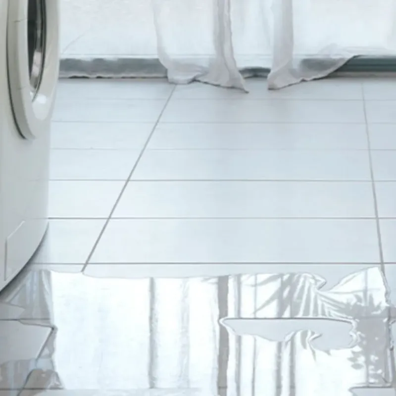 Appliance Leak Cleanup in Five Corners, WA